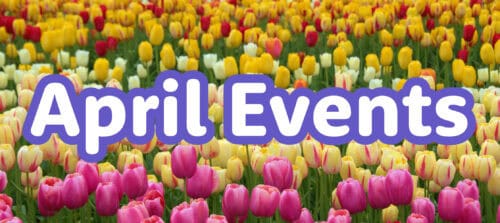 0425_Newsletter_a1769