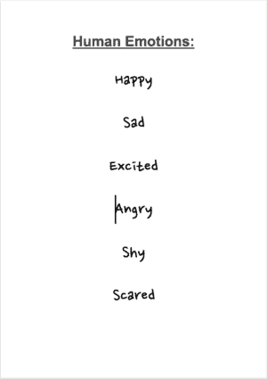 List of Human Emotions: Happy, sad, excited, angry, shy, scared.