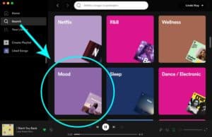 Screenshot of Spotify selection screen and where to find the Mood tab.