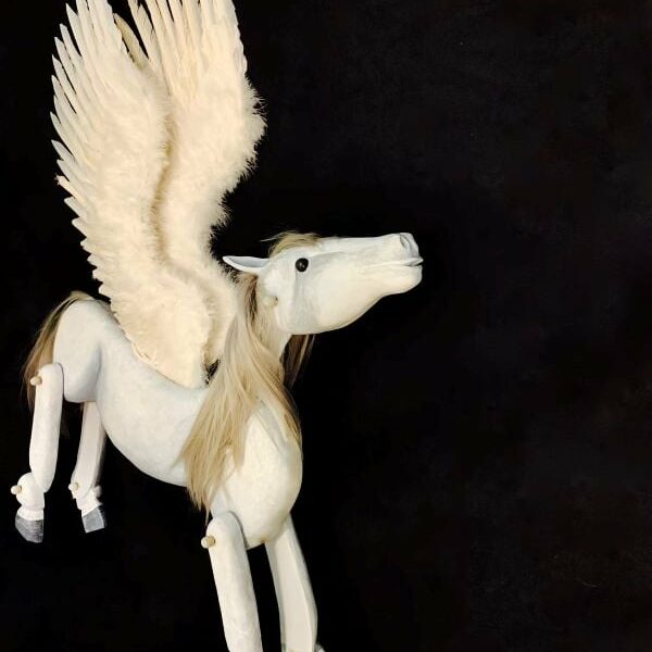 Pegasus main