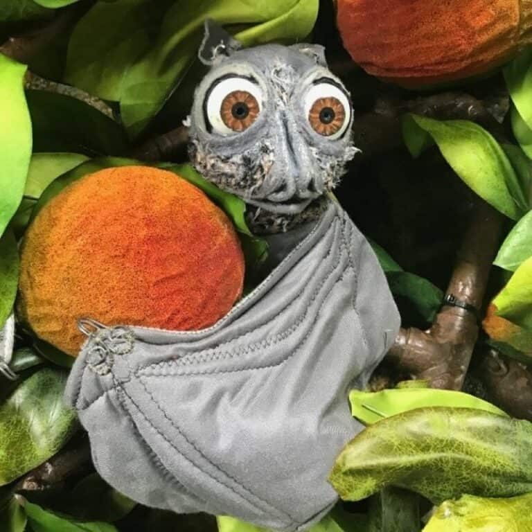 Stellaluna1